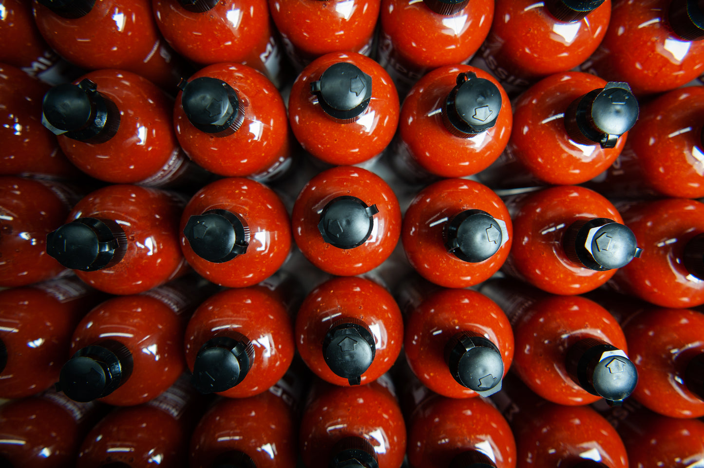 Case of Mississippi Red Pepper Sauce (12 Bottles)